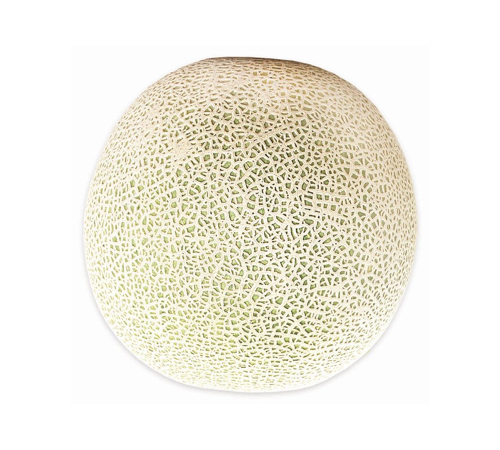 Melons - Image 2
