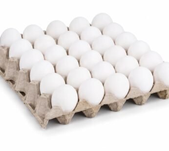 White Egg